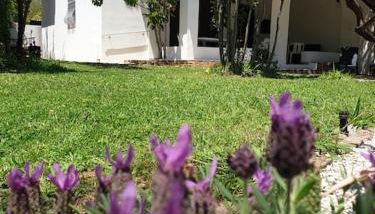 Villa Lentischio - Foto 1