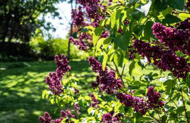 altes forsthaus schotten - Photo 34