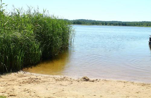 Bajkowe Mazury Domek Wakacyjny - Foto 5