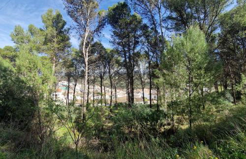 El Pitijopo - Foto 39