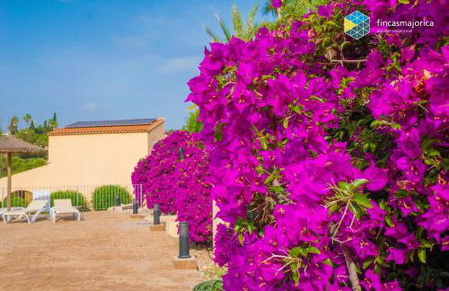 Casa Josemar - Casa con piscina junto a la playa en Cala Romántica - Foto 53