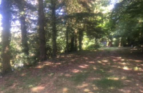 Unique & serene 1-Bed Cabin close to Domfront - Foto 16