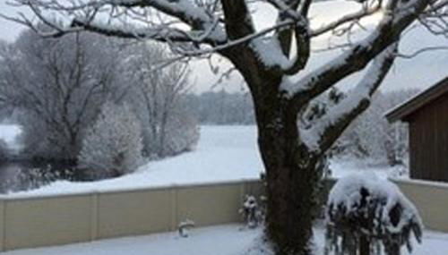 Haus Fiedler - Foto 4