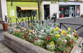 Le Wilson - accès Paris rapide - Foto 22