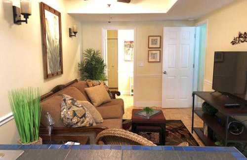 2 Bedroom Apt Overlooking Dunedin Town Square NO KIDS, NO PETS - Photo 5