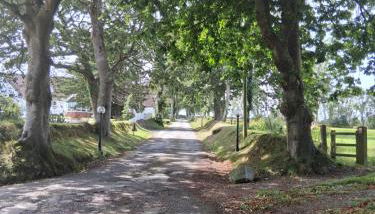 Bluebell Cottage - Foto 2