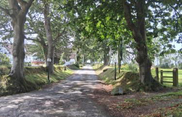 Bluebell Cottage - Photo 2