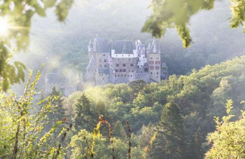 Holiday home in Mosel with 3 bedrooms - Foto 45