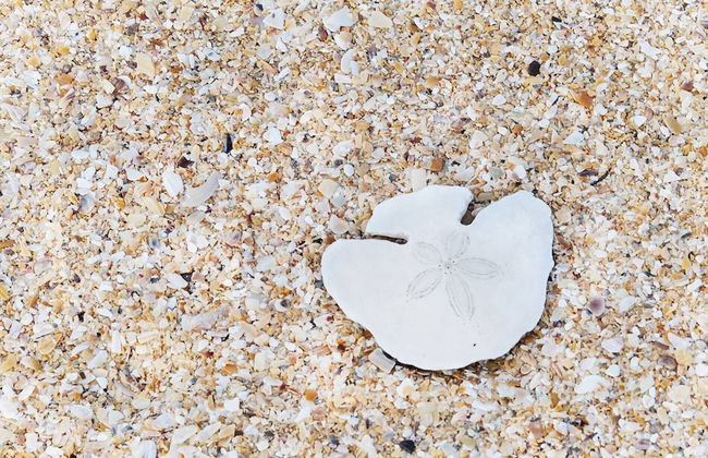 Chalet 40 Entire House Tranquil and Family-friendly Location - Photo 16