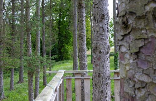 La Cafoutche Tiny - Foto 22