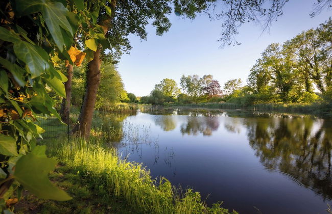 Maty's Landhausperle - Foto 11