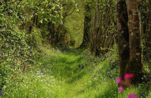 Romantic Cottage With Shared Swimming Pool - Foto 58