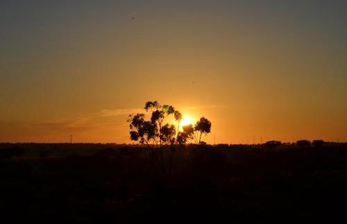 Monte da Ameixa Country House - Foto 28