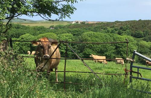 Trengothal Barn - Photo 21