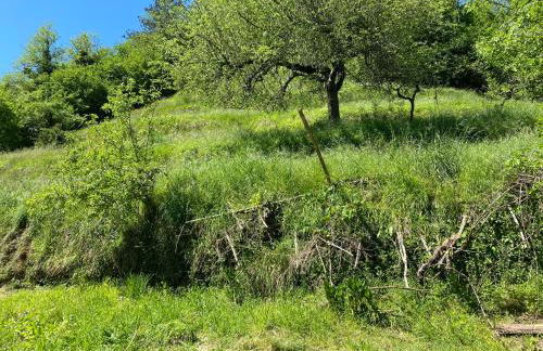 Woods House - Foto 44