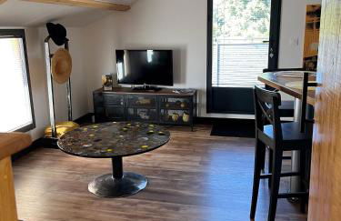 Le Studio des Gîtes Aérostier - Foto 2