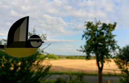 Ferienwohnung Butterbirne - Photo 21