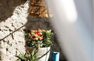 Ca' Dottori - Foto 53