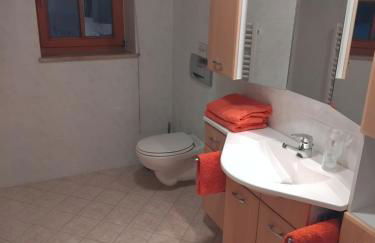 Ferienwohnungen Ilsanker - Doffenlehen - Foto 17