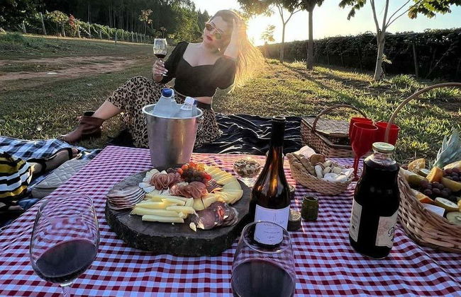 Assunçao Winery Tour - Foto 7