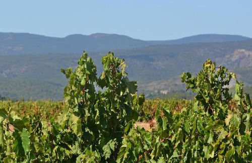 Roquebrun Villa with Pool - Foto 26