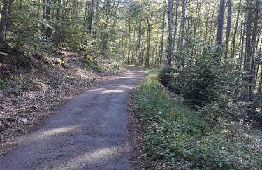 PLANINSKI MIR Rukavine - Foto 37