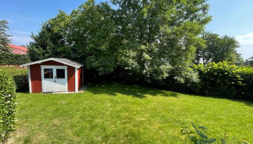 Strandläufer - Photo 5