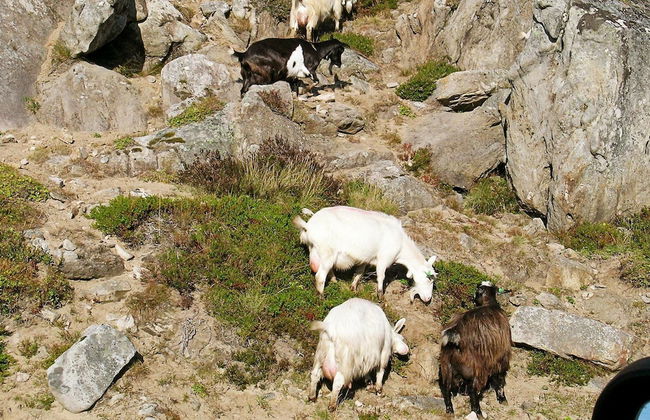 Holiday Home in Leknes - Foto 9