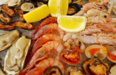 Casa Pagani - Foto 28