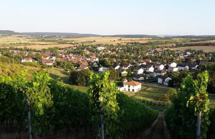 Haus mit Seele im Nahetal - Foto 40