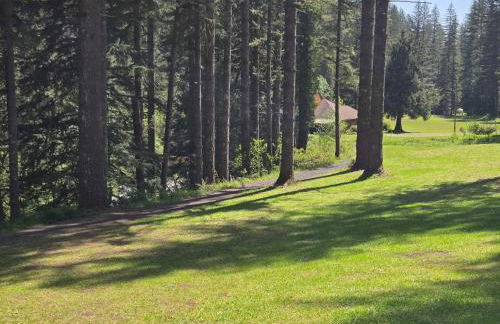 Kanati Falls Ranch - Foto 19