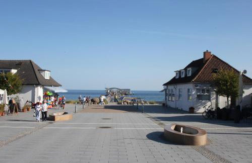 Silbermöwe im Kirschgarten - Foto 47