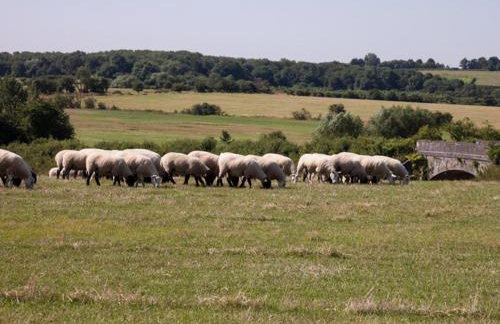 2 Bed in Thame oc-cc068 - Foto 31