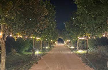Masseria Torre Di Nebbia - Foto 56