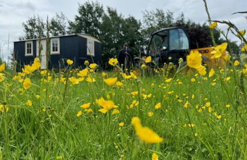 Shepherdshut-hot Tub-cotswolds-petfriendly - Photo 65