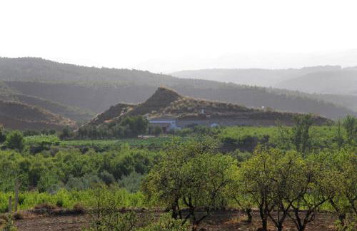 Cuevas Cañada de las Piedras - Foto 36