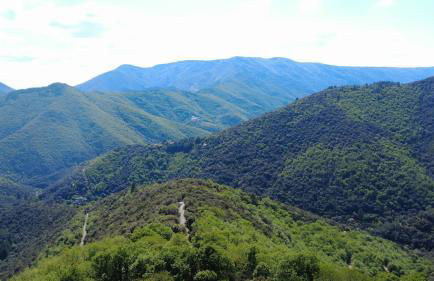 Le Châtaignier - Foto 26