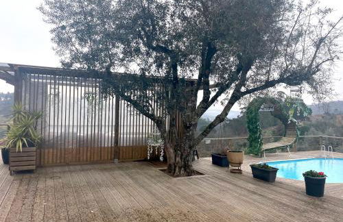 Refúgios do Rio Dão - Foto 77