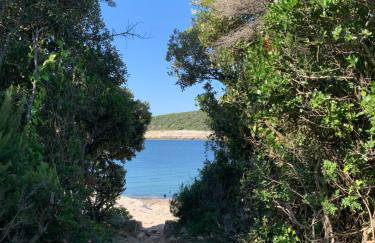 Kuća Kavrana - Foto 15