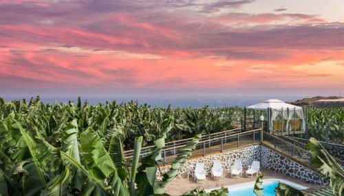 Hacienda La Dehesa (Only Adults) - Foto 3, Garden view