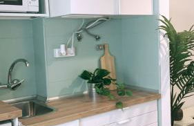 Apt 20 min from downtown train - Photo 7