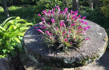 Casa Velha - Santiago Family House - Foto 10