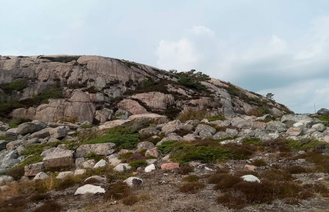 4 Star Holiday Home in Grebbestad-by Traum - Foto 15