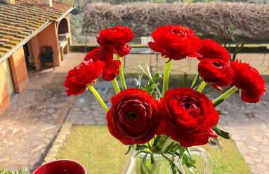 Agriturismo Tenuta Cantagallo - Foto 19