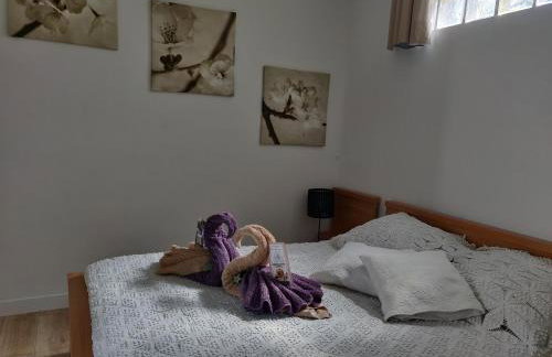 La maisonnette de Saint Chamas - Foto 13