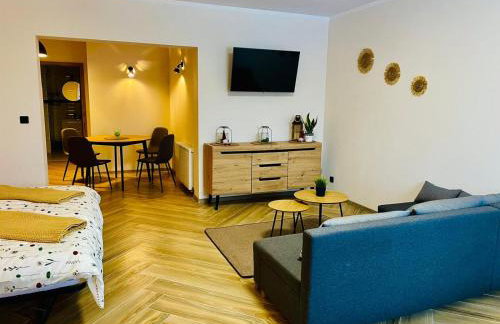 GÓRSKA CISZA - Duży, komfortowy, wyjątkowy Apartament - Foto 30