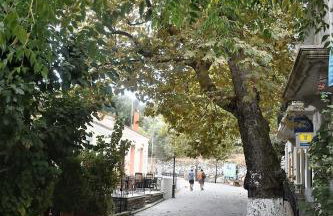 Christos Raches traditional houses - Foto 16