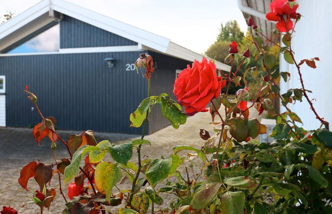 8 Person Holiday Home in Frorup-by Traum - Foto 20