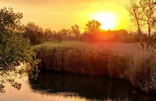 Casa con Piscina, A/A, BBQ, WiFi y Garaje en Sant Pere Pescador - ES-89-76 - Foto 28