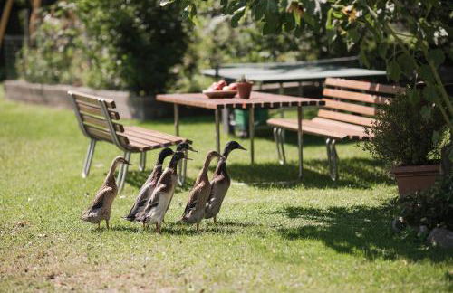 Untermairhof - Foto 47